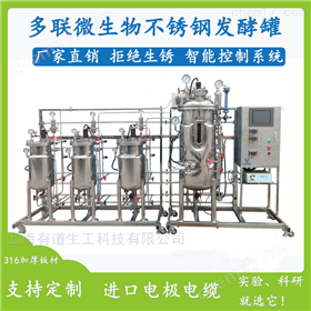 500L固体发酵罐