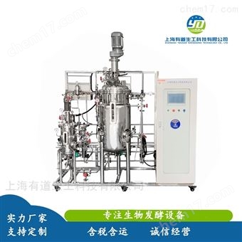 不锈钢厌氧发酵罐